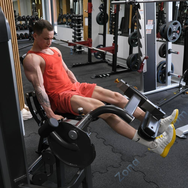 Разгибание ног AnyFit PE201-123