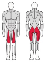 Жим ногами сидя Fitex Pro FTX-61F28